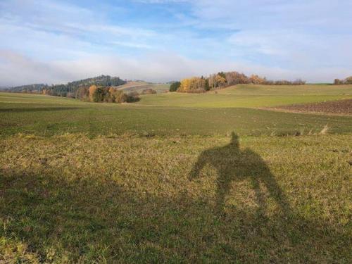 a shadow of a person standing in a field at Ferienhaus Ottenschlag in Ottenschlag
