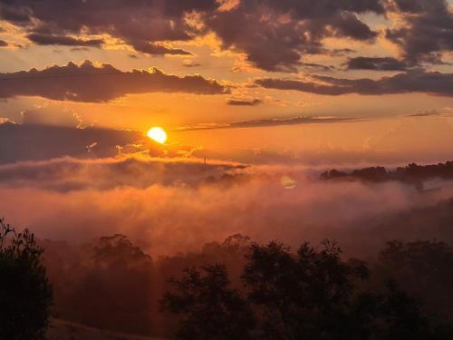 un'alba nebbiosa con il sole che sorge sopra gli alberi di Foster - Nature Retreat - Nippards Nature Cottage 