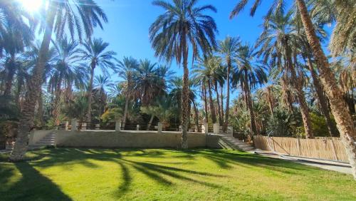 un patio con palmeras y una valla en Maison d'hôtes Dar Ranim Tozeur, en Tozeur