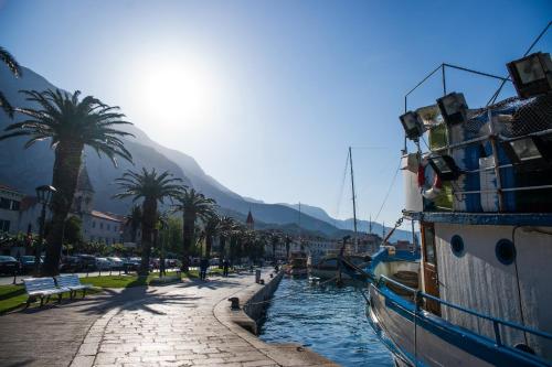 a boat is docked next to a street with palm trees at Hotel Biokovo in Makarska