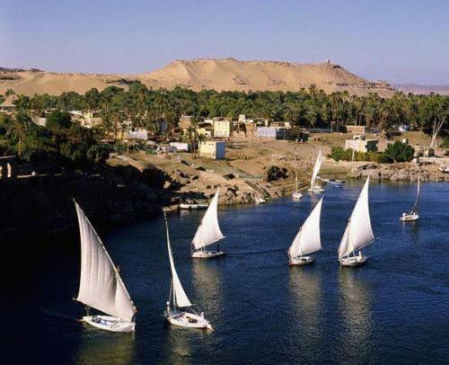 a group of sailboats in a large body of water at جوله بفلوكه في نهر النيل in Aswan