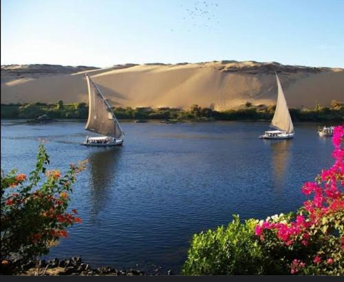 アスワンにあるجوله بفلوكه في نهر النيلの砂丘前の川上の帆船2隻