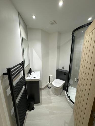 a bathroom with a toilet and a sink at Ground Floor Stratford Flat in Stratford-upon-Avon