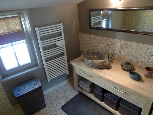 een badkamer met een wastafel en een spiegel bij Gite Nuance in Saint-Aignan