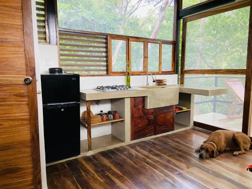 a kitchen with a dog laying on the floor at Agora at Playa Maderas - Surf House, Cabanas and Casitas in El Plantel