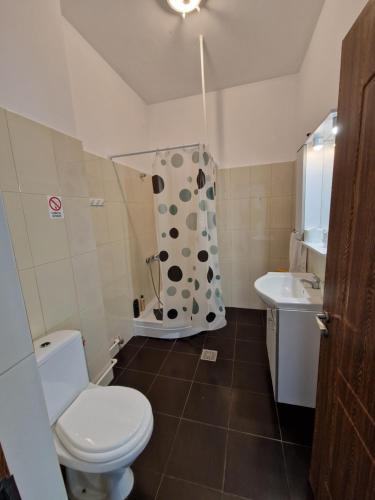 a bathroom with a toilet and a shower and a sink at Hostel Andrei in Iaşi