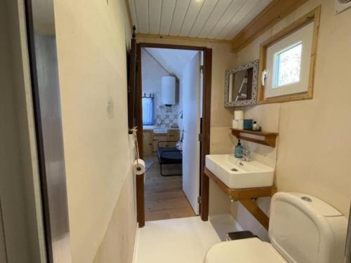 Baño pequeño con aseo y lavamanos en Da Silva Surfcamp, Tiny House Luna, en Lourinhã