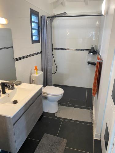 a bathroom with a shower and a toilet and a sink at Gîte prestige-Colin in Petit-Bourg