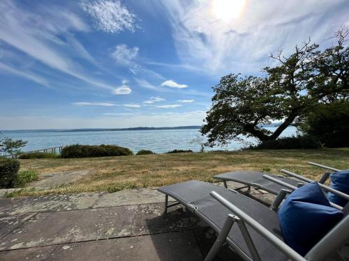a bench sitting next to the water with a tree at Landhaus am See mit privatem Seezugang in Meersburg