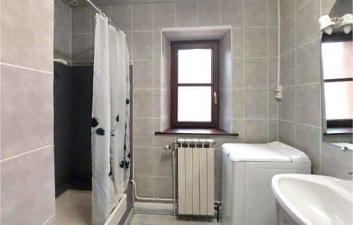 a bathroom with a toilet and a sink and a window at Gorgeous Apartment In Saulxures-sur-moselott With Kitchen in Saulxures-sur-Moselotte