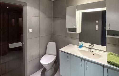 a bathroom with a toilet and a sink and a mirror at Stunning Apartment In Noresund With Kitchen in Noresund