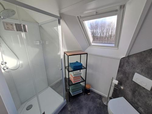 a small bathroom with a shower and a window at de Bloemenhof in Ouddorp