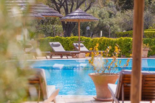 Πισίνα στο ή κοντά στο Felix Hotels - Hotel Airone
