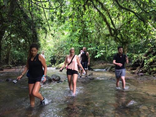 a group of people crossing a stream in the forest at Evergreen Guest House in Khao Sok