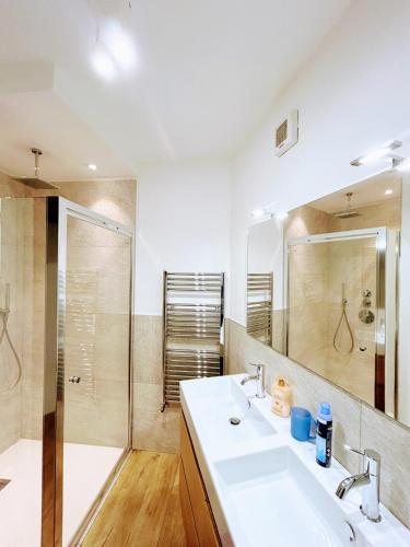 a bathroom with a sink and a shower at Le Petit Chalet Limone in Limone Piemonte