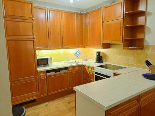 Η κουζίνα ή μικρή κουζίνα στο Appartement-Residenz Suite 10