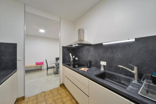 une cuisine avec un évier et un plan de travail dans l'établissement L'Appart de Mimie - Proche des Marais de Bourges, à Bourges