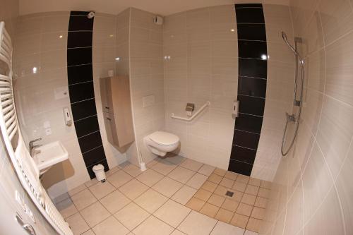 a bathroom with a toilet and a shower at Le Chalet de la Source in Mouthe