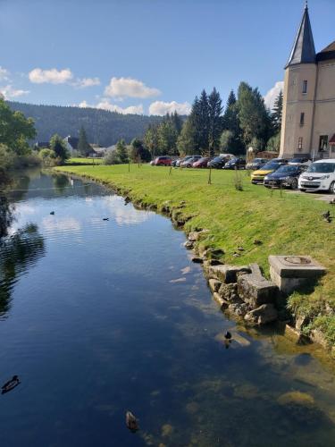 a river with cars parked on the side of it at Le Chalet de la Source in Mouthe