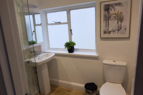 a bathroom with a toilet and a sink and a window at Studio apartment - The Topaz 