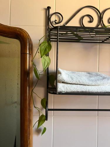 a iron towel rack with a plant on it at Relais B&B Betty Bike in Sassofeltrio
