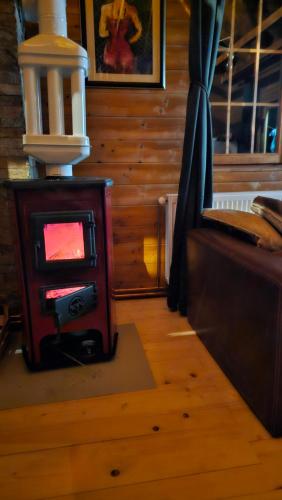 a small stove in a room with a lamp at Eko kuća Zlatiborsko srce in Zlatibor