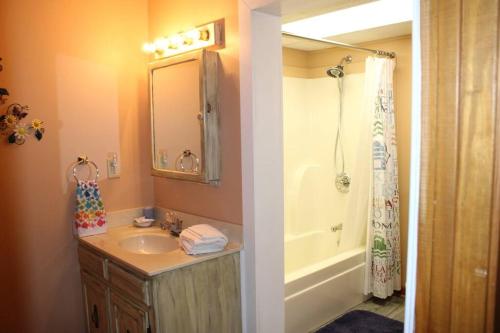 ein Badezimmer mit einem Waschbecken, einer Badewanne und einer Dusche in der Unterkunft Aunt Pattie's Lake House in Fairfield Bay