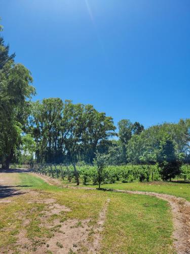 a field with a dirt road and trees in the background at Finca La Saucina Casa de Campo in Tunuyán