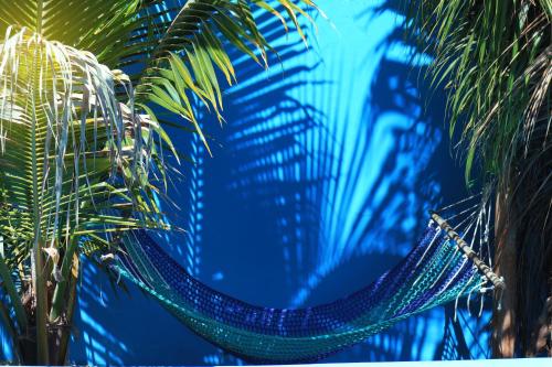 a hammock hanging between two palm trees at Jambo Kendwa Villa in Kendwa