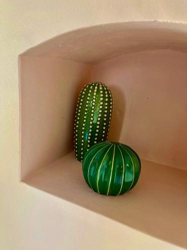 a green cactus and a green vase on a wall at La Parenthèse du Var - Chambre d'hôtes petits déjeuners inclus et terrasse ombragée in Saint Antonin du Var