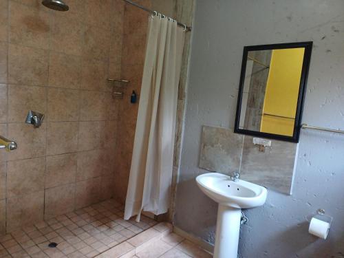 a bathroom with a shower and a sink and a mirror at Horizon Bed and Breakfast in Roodepoort