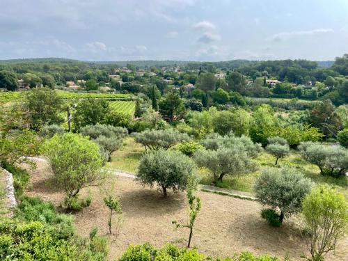 an overhead view of a forest of trees and bushes at La Parenthèse du Var - Chambre d'hôtes petits déjeuners inclus et terrasse ombragée in Saint Antonin du Var