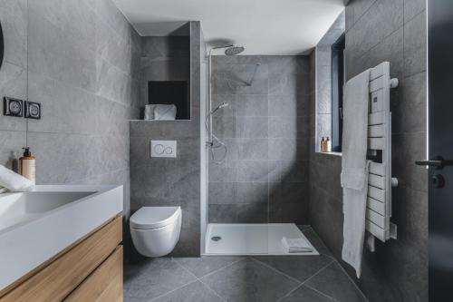 a bathroom with a shower and a toilet and a sink at Les Chalets du Grand Hôtel in Saint-Chaffrey