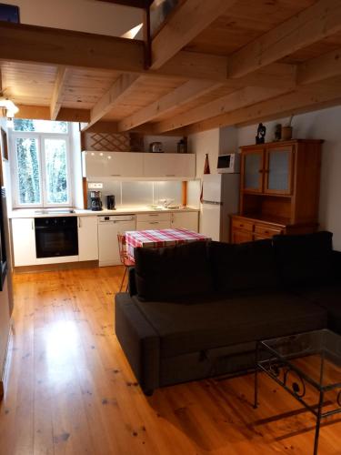 ein Wohnzimmer mit einem Sofa und einer Küche in der Unterkunft Charmant gîte avec parking gratuit sur place. in Davézieux