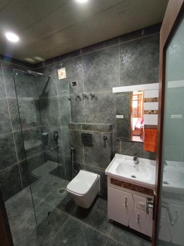 a bathroom with a shower and a toilet and a sink at Snowline Homestay in Kīar