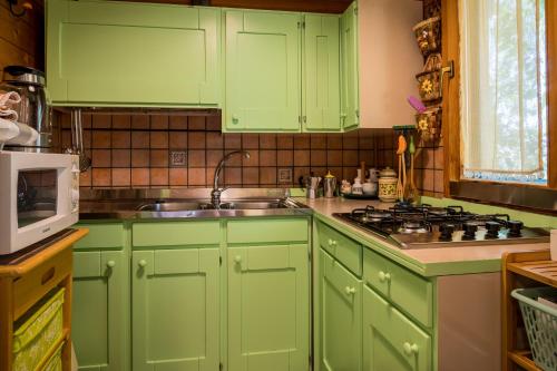 a kitchen with green cabinets and a sink and a microwave at Casetta Pizziddu in San Giovanni Gemini