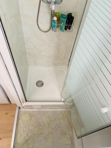 a shower in a room with a ceiling with a shower at Studio cosy au cœur de Paris in Paris