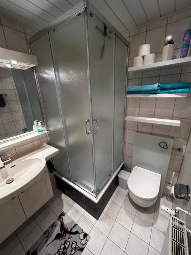 Ένα μπάνιο στο Partzsch Apartment