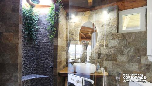 a bathroom with a sink and a mirror at Wild Cherry Cordwood / Дивите череши in Godech