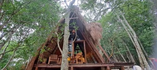 a tree house in the middle of the forest at 7 CIELOS BACALAR. in Bacalar