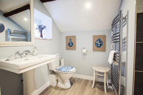 a bathroom with a sink and a toilet at The Bothy at Oak Farm in Usk
