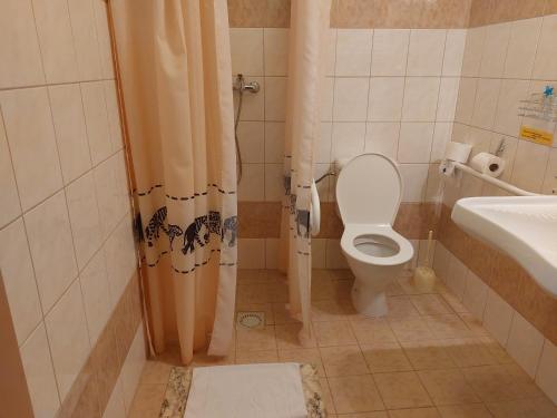 ライエツケ・テプリツェにあるPenzion Rajのバスルーム(トイレ、洗面台付)