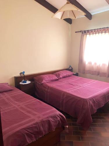 sypialnia z 2 łóżkami i oknem w obiekcie Cabañas Lijeron Samaipata w mieście Samaipata