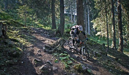 a person riding a bike on a dirt trail at Hotel Wynegg in Klosters