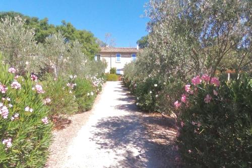 Κήπος έξω από το Chambres d'Hôtes au Mas de Cadoule