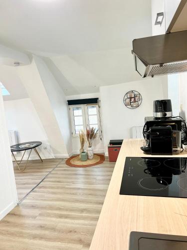 une cuisine avec une cuisinière et un comptoir dans l'établissement Le Nid Douillet CENTRE VILLE, à Decize