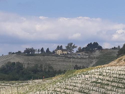 winnica z domem na szczycie wzgórza w obiekcie Cascina Belvedere 1932 - Ospitalità Rurale Famigliare w mieście Mornese