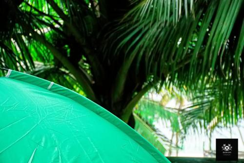 a green umbrella in front of a palm tree at BAWANS VILLA Holiday Home for Family or Group in Hikkaduwa