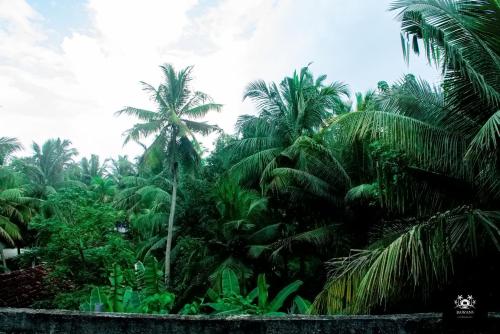 a group of palm trees in a forest at BAWANS VILLA Holiday Home for Family or Group in Hikkaduwa