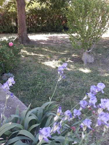 Κήπος έξω από το GITE EN PROVENCE